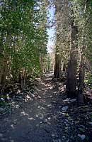 Trail to Blue Lake